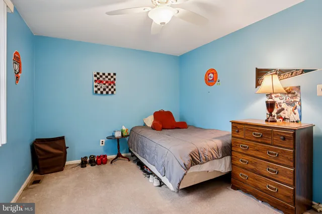 a view of a dry yard