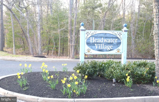 a backyard of a building with large trees