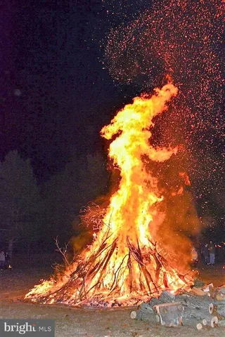 a garden view with a lake view