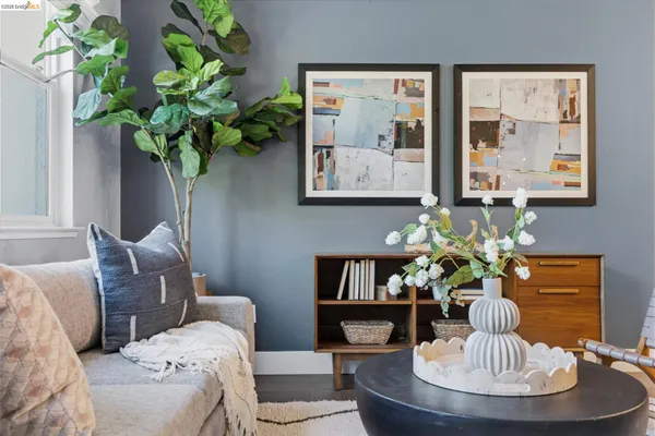 a living room with furniture flowerpot and a potted plant