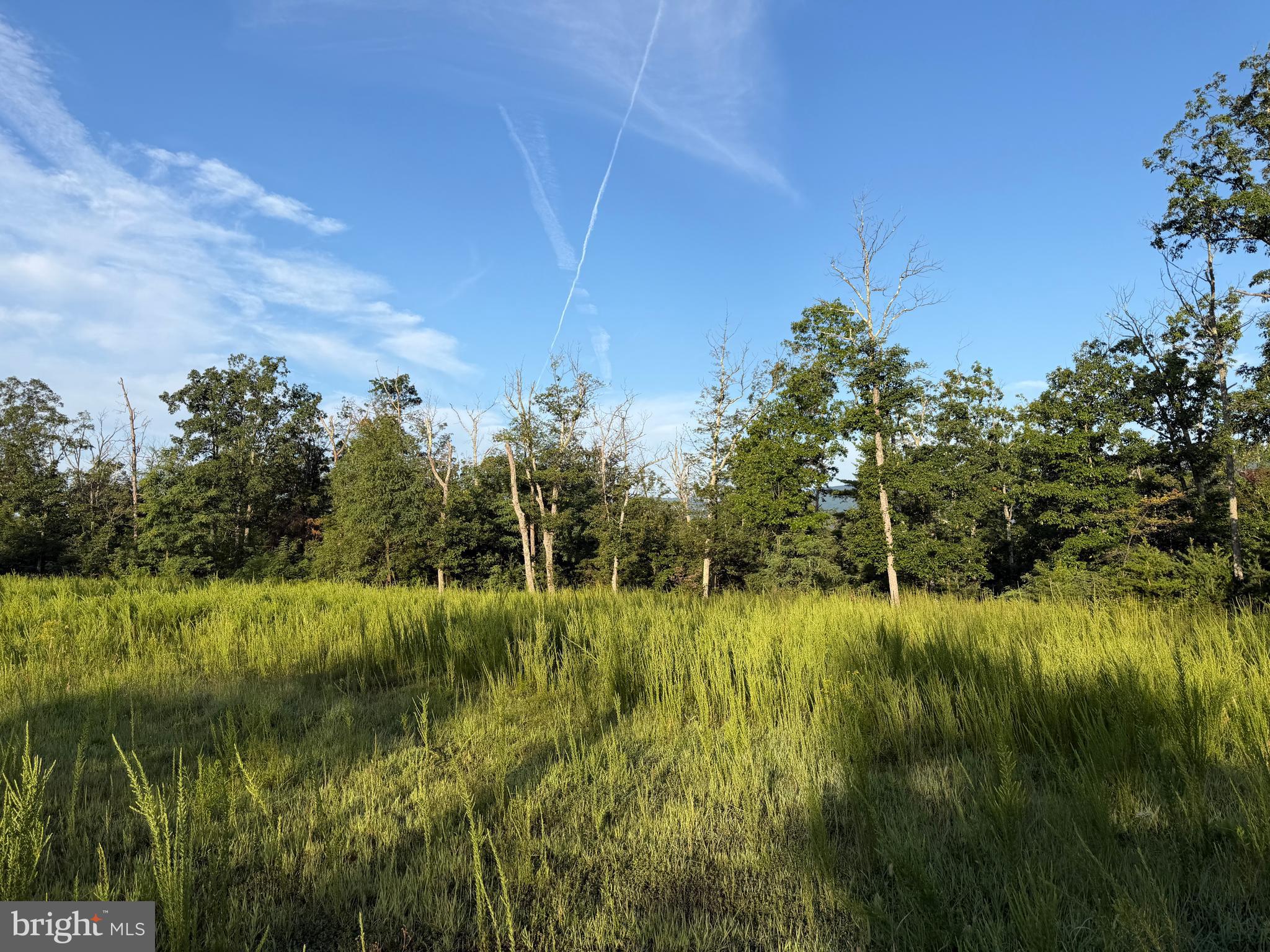 2 158.43 /- Acres Laurel Grove Road Winchester, VA 22602 - Photo 27 of 37 Gallery Image 27