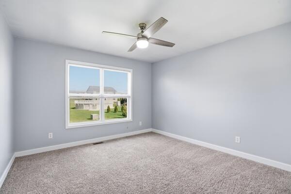 11175 Morgan Street Crown Point, IN 46307 - Photo 15 of 24 600x400