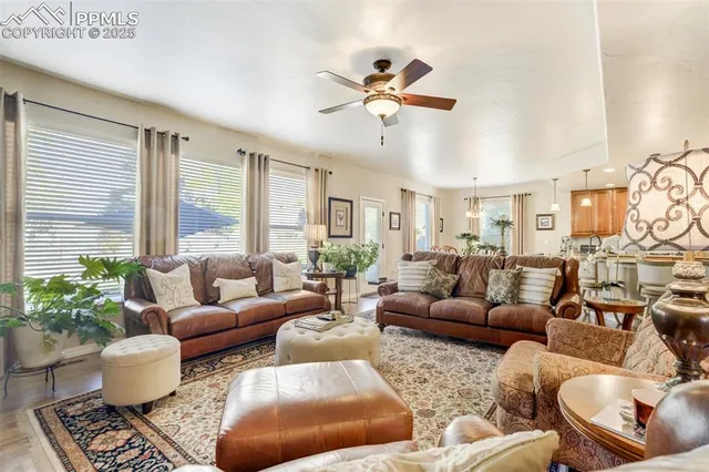 a living room with furniture potted plant and a window
