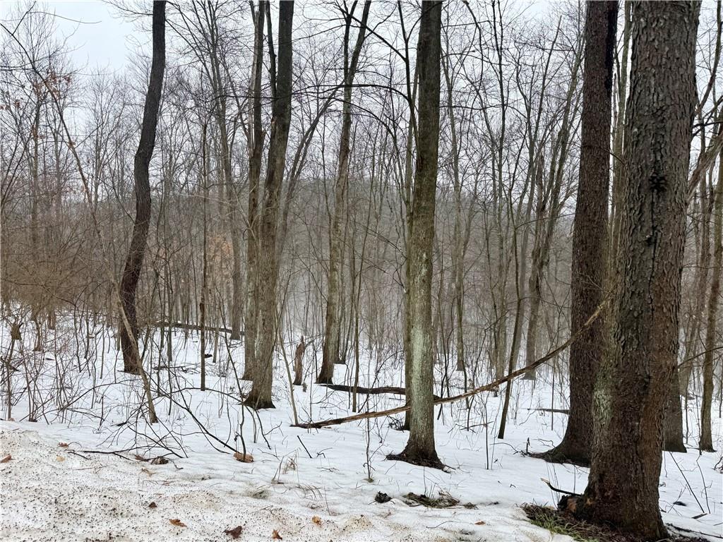 a view of wooden fence and trees