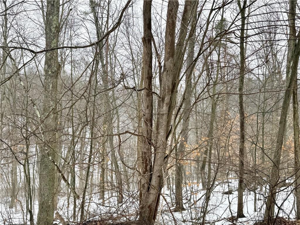 0 Cadogen Slatelick Road Kittanning, PA 16201 - Photo 11 of 14 outdoor view