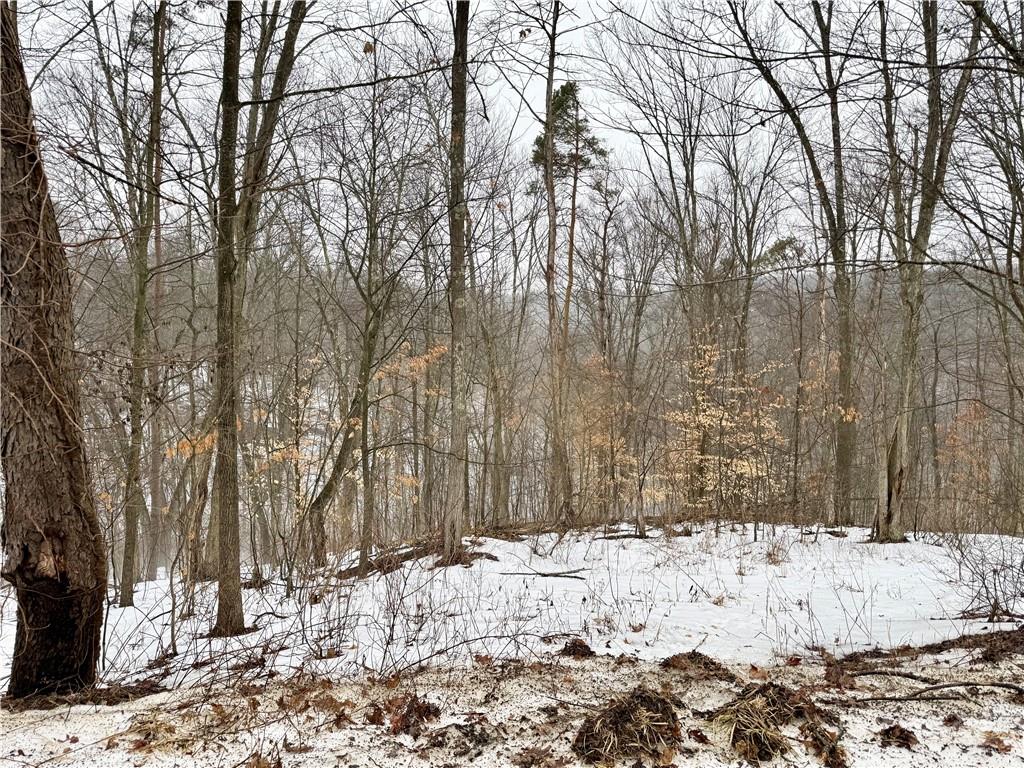 0 Cadogen Slatelick Road Kittanning, PA 16201 - Photo 12 of 14 a view of snow on the side of a road