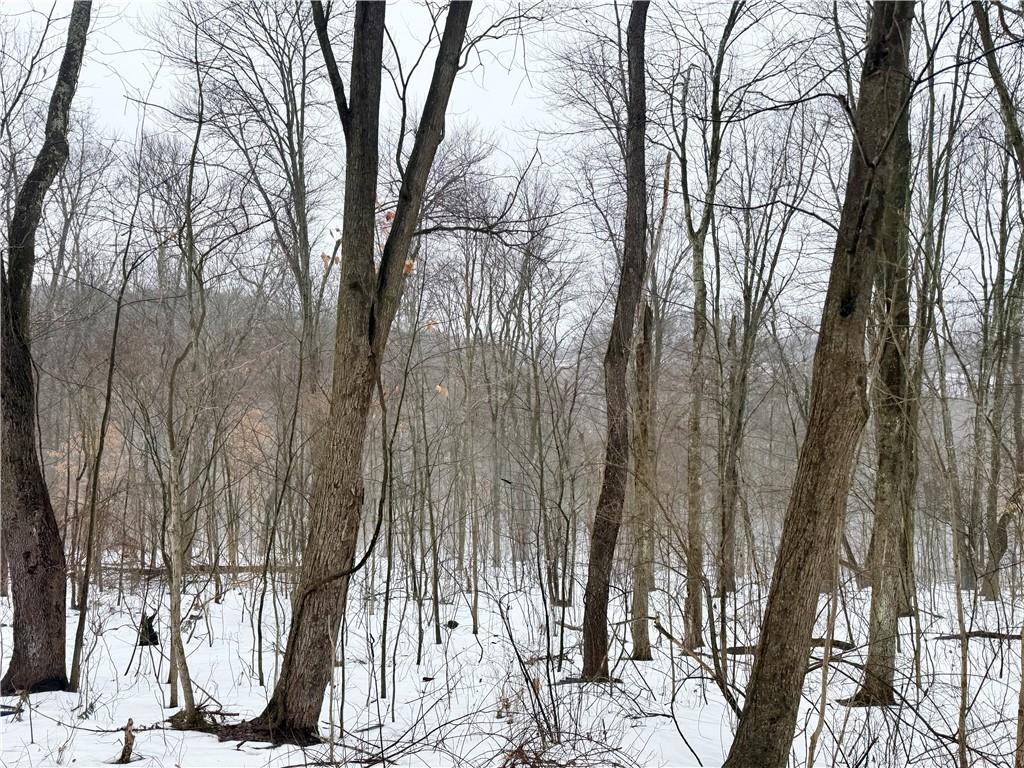 0 Cadogen Slatelick Road Kittanning, PA 16201 - Photo 14 of 14 a view of a yard with trees