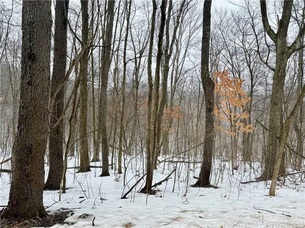 0 Cadogen Slatelick Road Kittanning, PA 16201 - Photo 2 of 14 a view of a covered with snow in the background