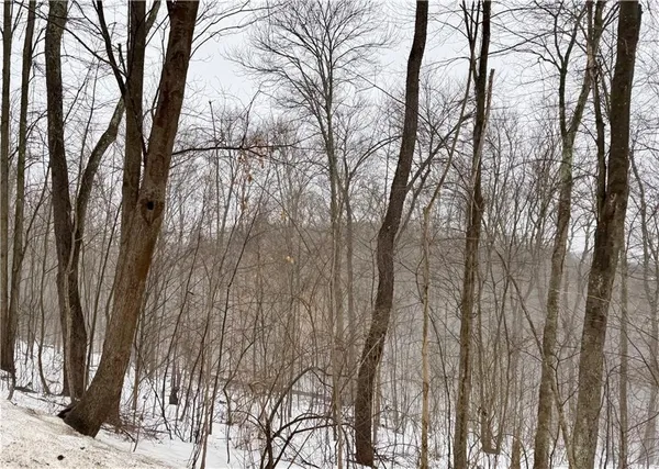 a view of trees with sitting space