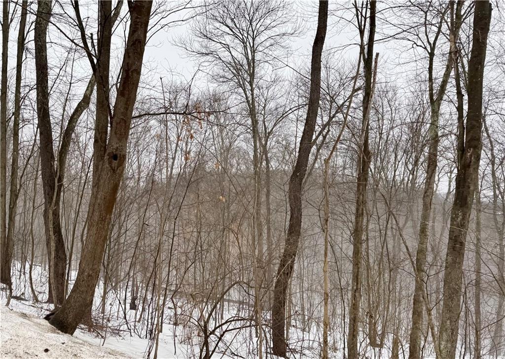0 Cadogen Slatelick Road Kittanning, PA 16201 - Photo 3 of 14 a view of trees with sitting space