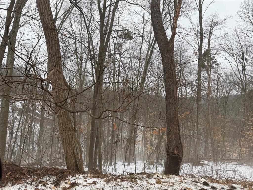 0 Cadogen Slatelick Road Kittanning, PA 16201 - Photo 4 of 14 a view of a yard covered with snow