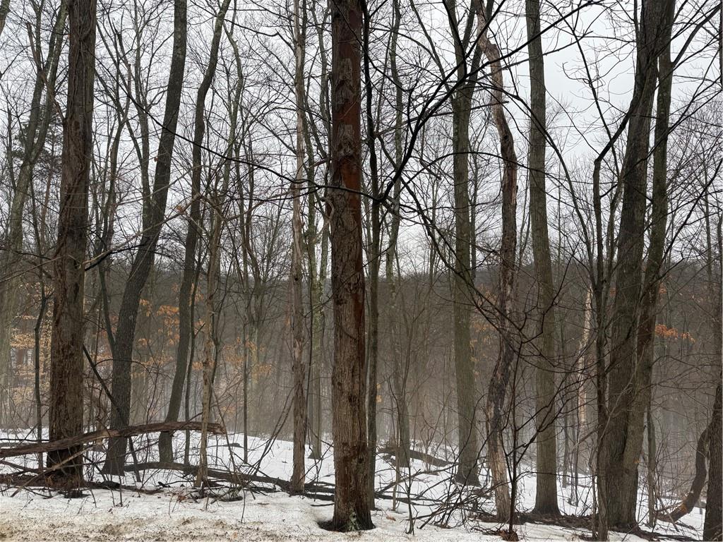 0 Cadogen Slatelick Road Kittanning, PA 16201 - Photo 5 of 14