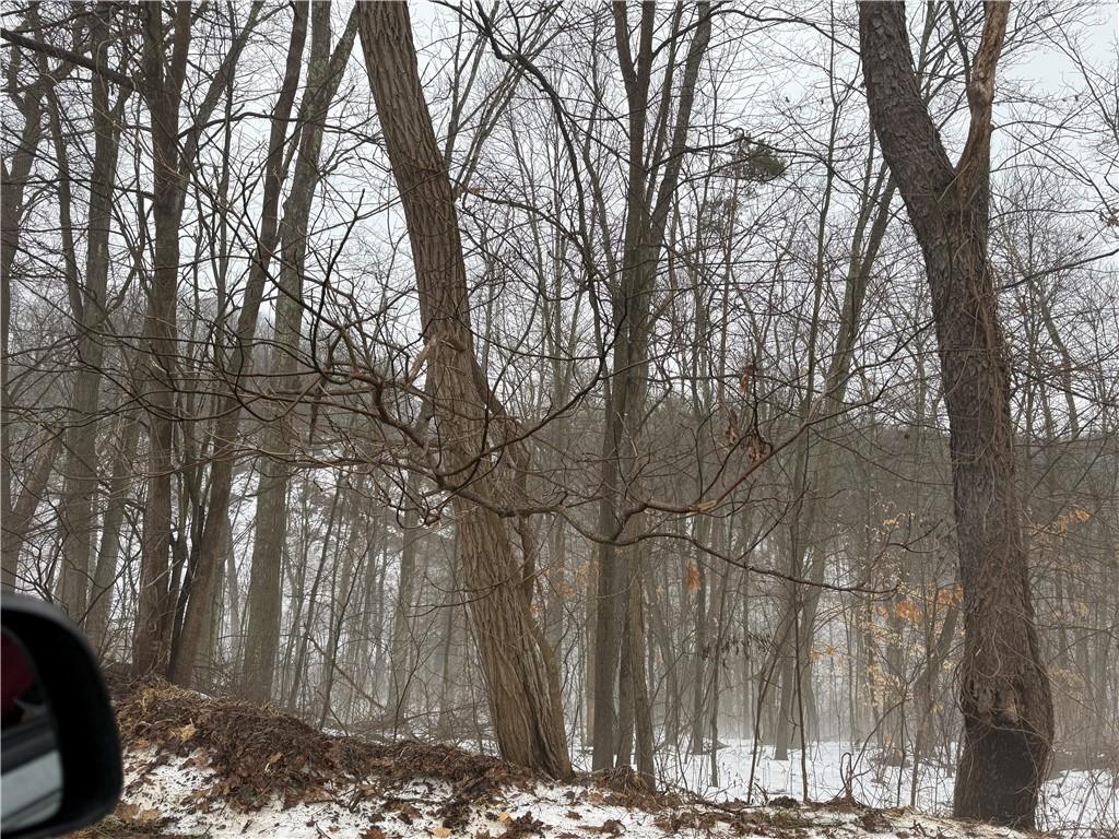 0 Cadogen Slatelick Road Kittanning, PA 16201 - Photo 6 of 14 a backyard of a house with lots of green space