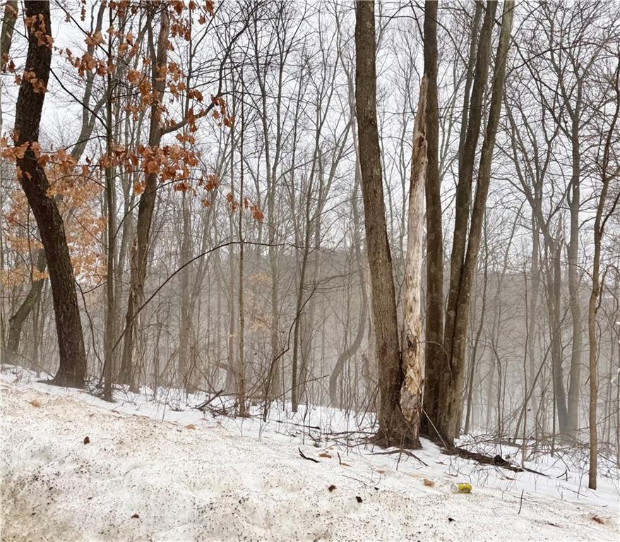 0 Cadogen Slatelick Road Kittanning, PA 16201 - Photo 7 of 14 a view of a backyard of the house