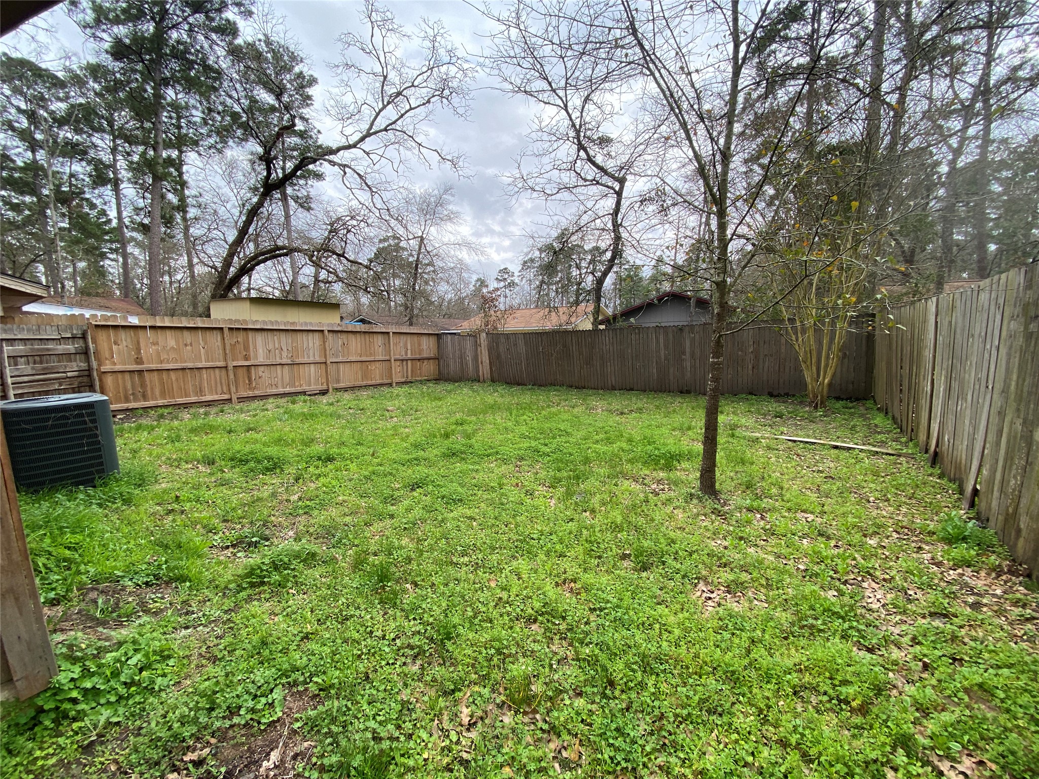 28629 Netawake Court Point Blank, TX 77364 - Photo 19 of 20 Nice, large backyard is mostly fenced