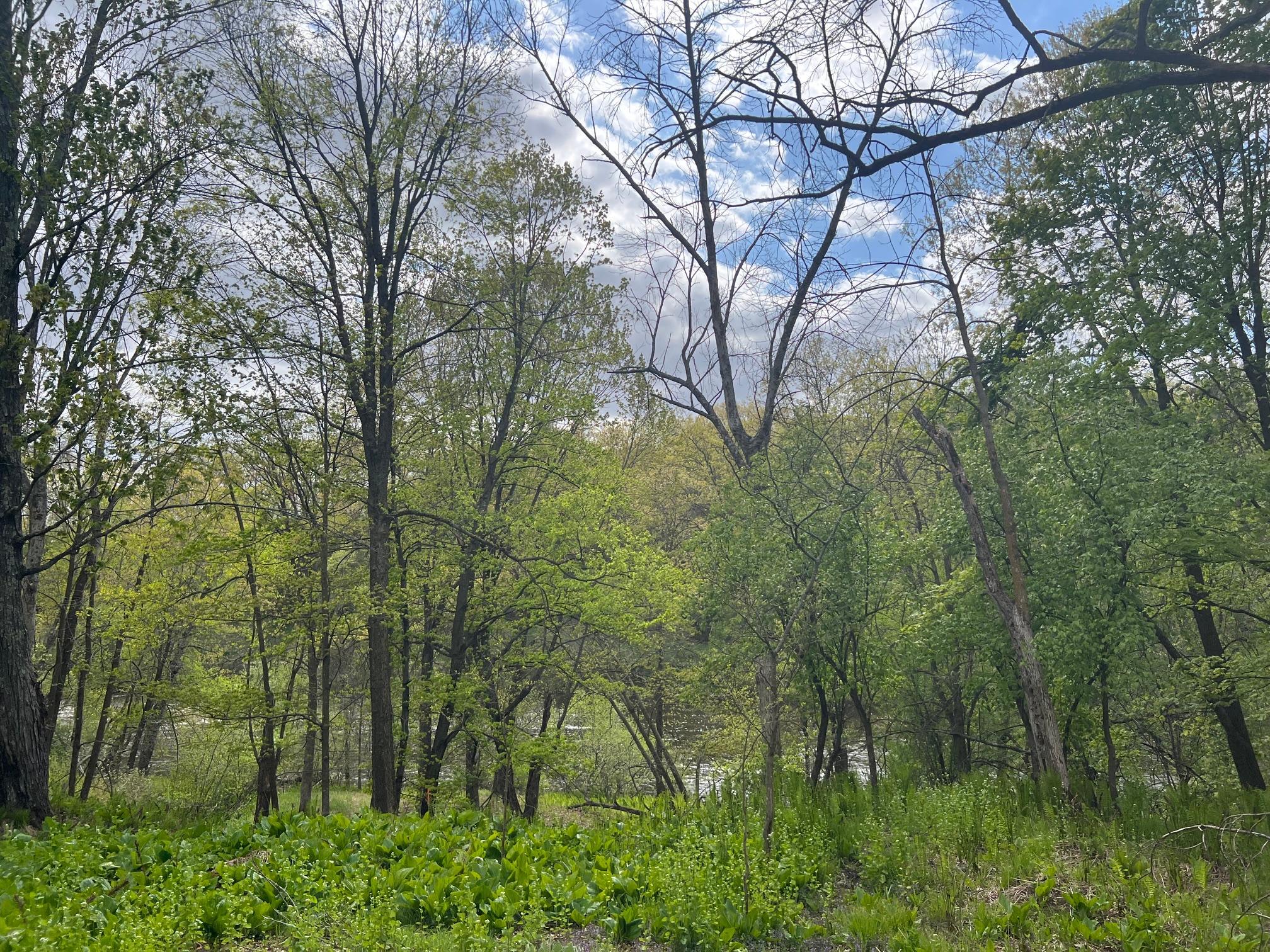 Tbd River Heights Road Menomonie, WI 54751 - Photo 7 of 18