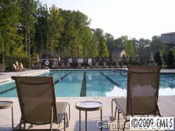 806 Solandra Way, Unit 483 Tega Cay, SC 29708 - Photo 19 of 23
