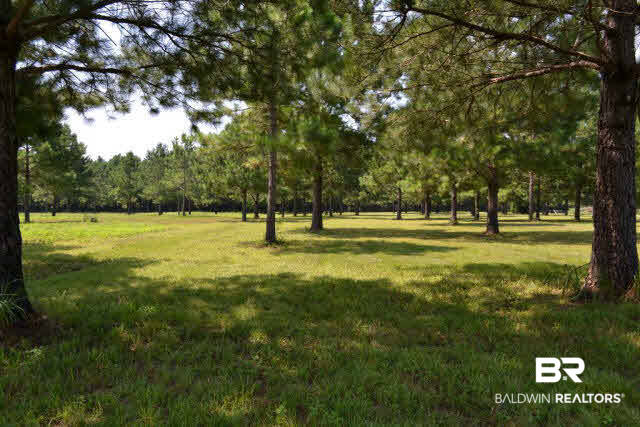 27608 County Road 65 Loxley, AL 36551 - Photo 13 of 32 1 of 4 pastures