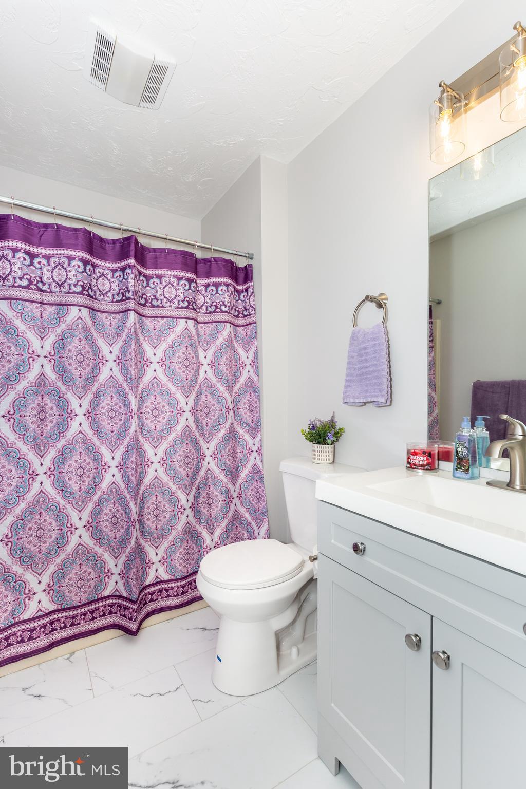 159 Colorado Avenue Littlestown, PA 17340 - Photo 35 of 47 a bathroom with a sink toilet and a mirror