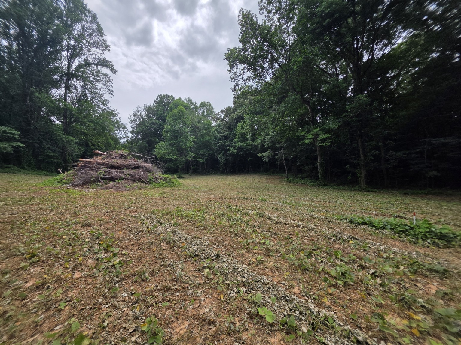 12 Shellsford Road McMinnville, TN 37110 - Photo 2 of 10
