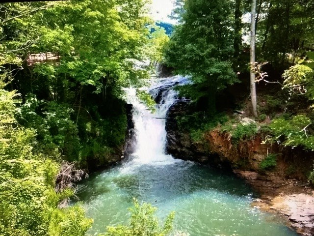 608 Moss Patch Trail Jasper, GA 30143 - Photo 23 of 24