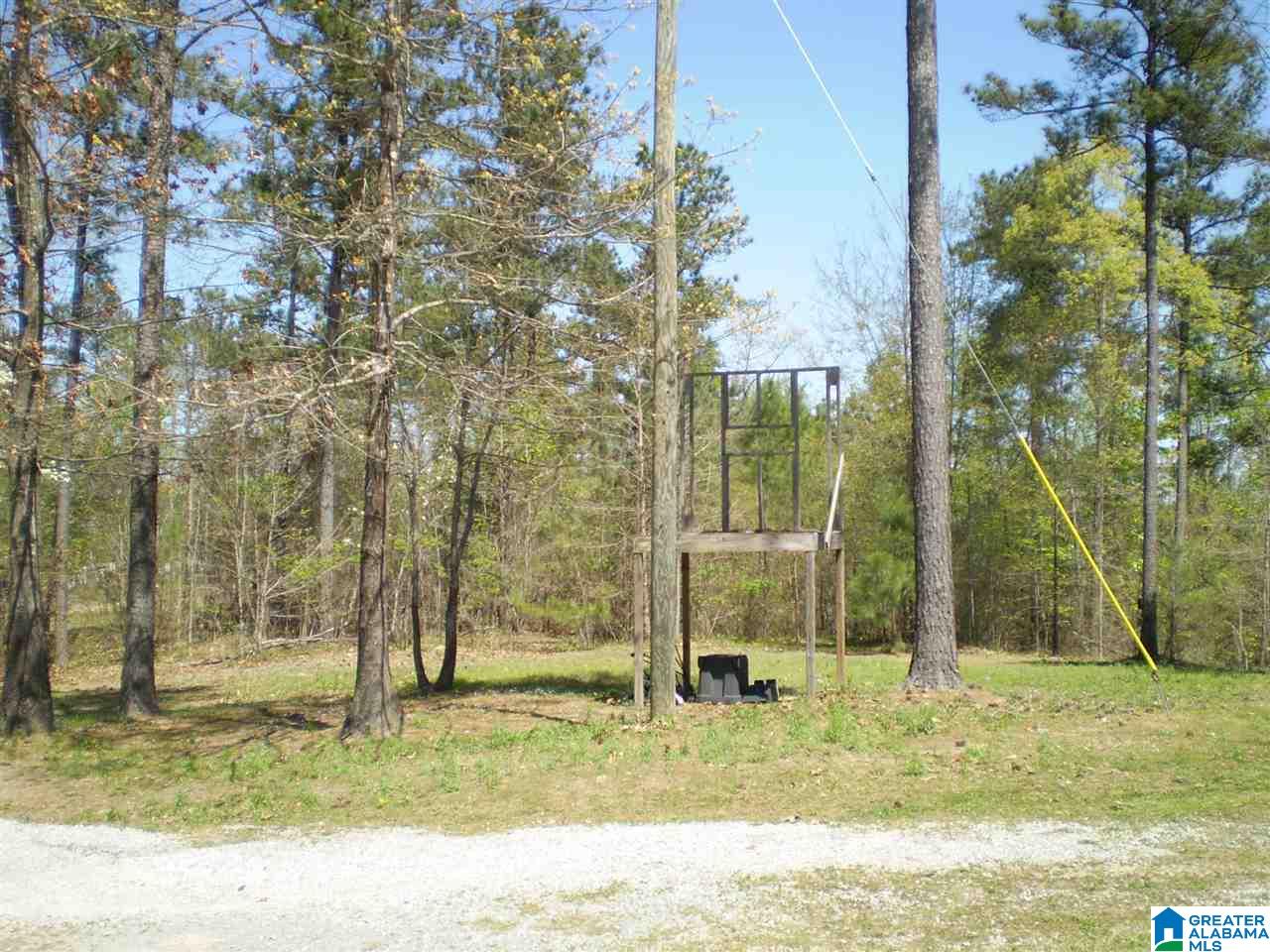 164 Rock Crest Road Odenville, AL 35120 - Photo 6 of 50