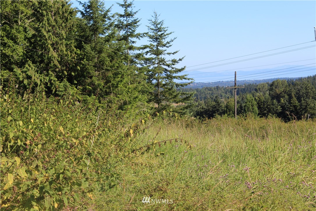 0 Easterly Road Sequim, WA 98382 - Photo 3 of 9 Gallery Image 3
