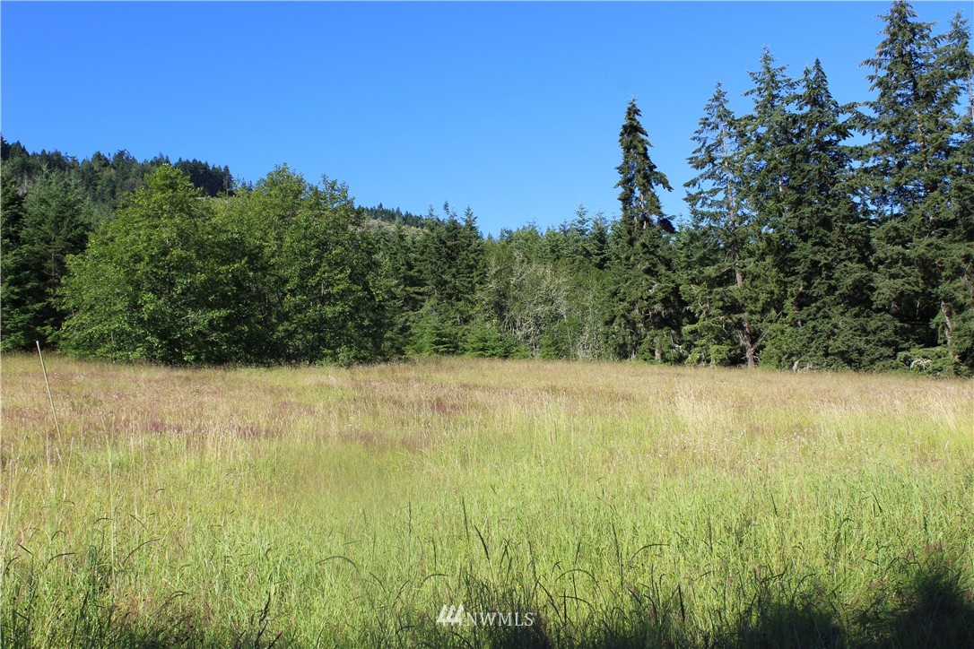 0 Easterly Road Sequim, WA 98382 - Photo 4 of 9 Gallery Image 4