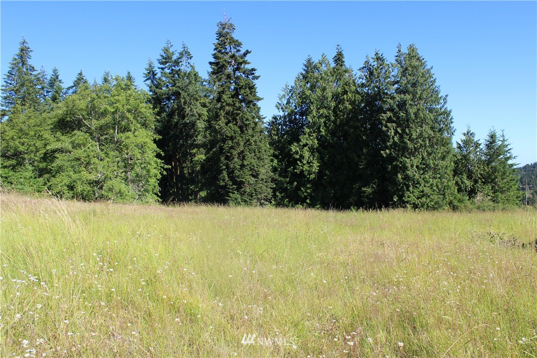 0 Easterly Road Sequim, WA 98382 - Photo 5 of 9 Gallery Image 5
