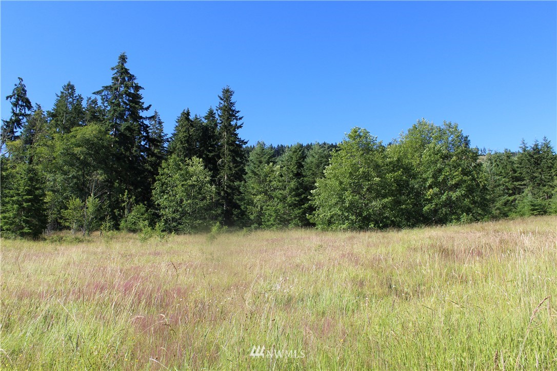 0 Easterly Road Sequim, WA 98382 - Photo 6 of 9 Gallery Image 6