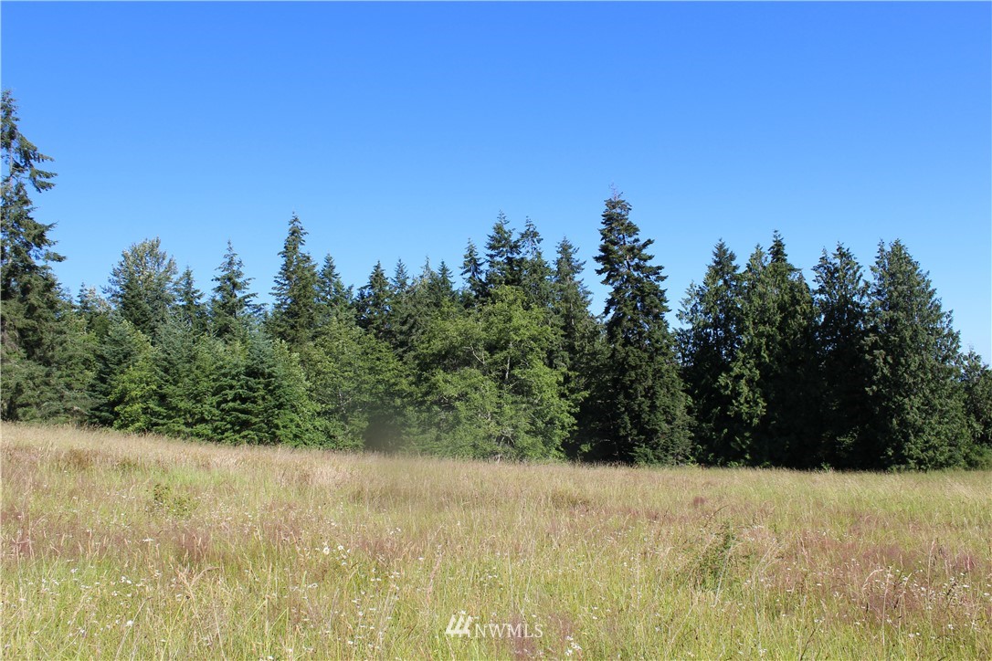 0 Easterly Road Sequim, WA 98382 - Photo 8 of 9 Gallery Image 8