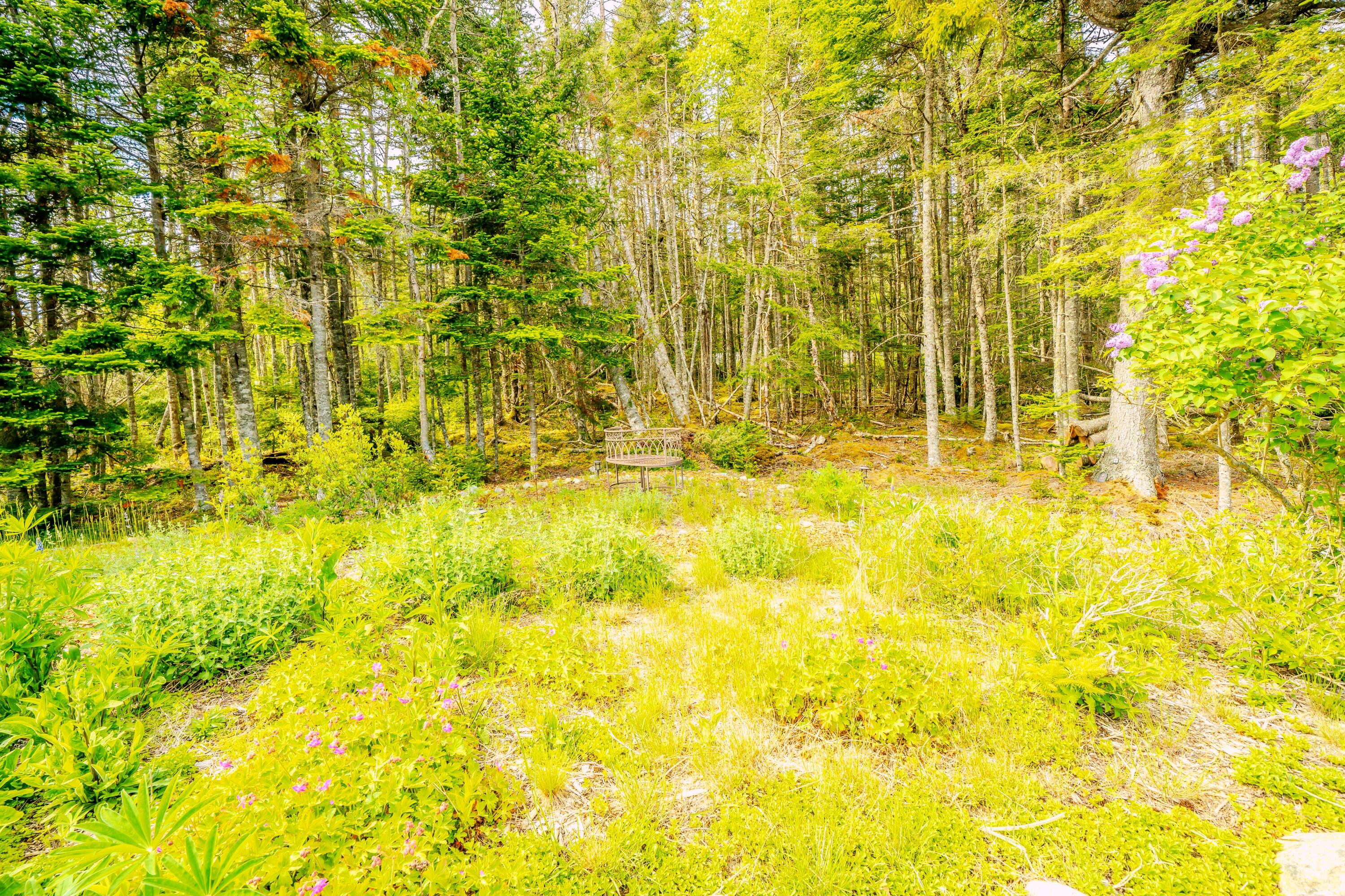 557 Yoho Head Road Machiasport, ME 04655 - Photo 64 of 136 Secret Gardens-3 - Copy - Copy
