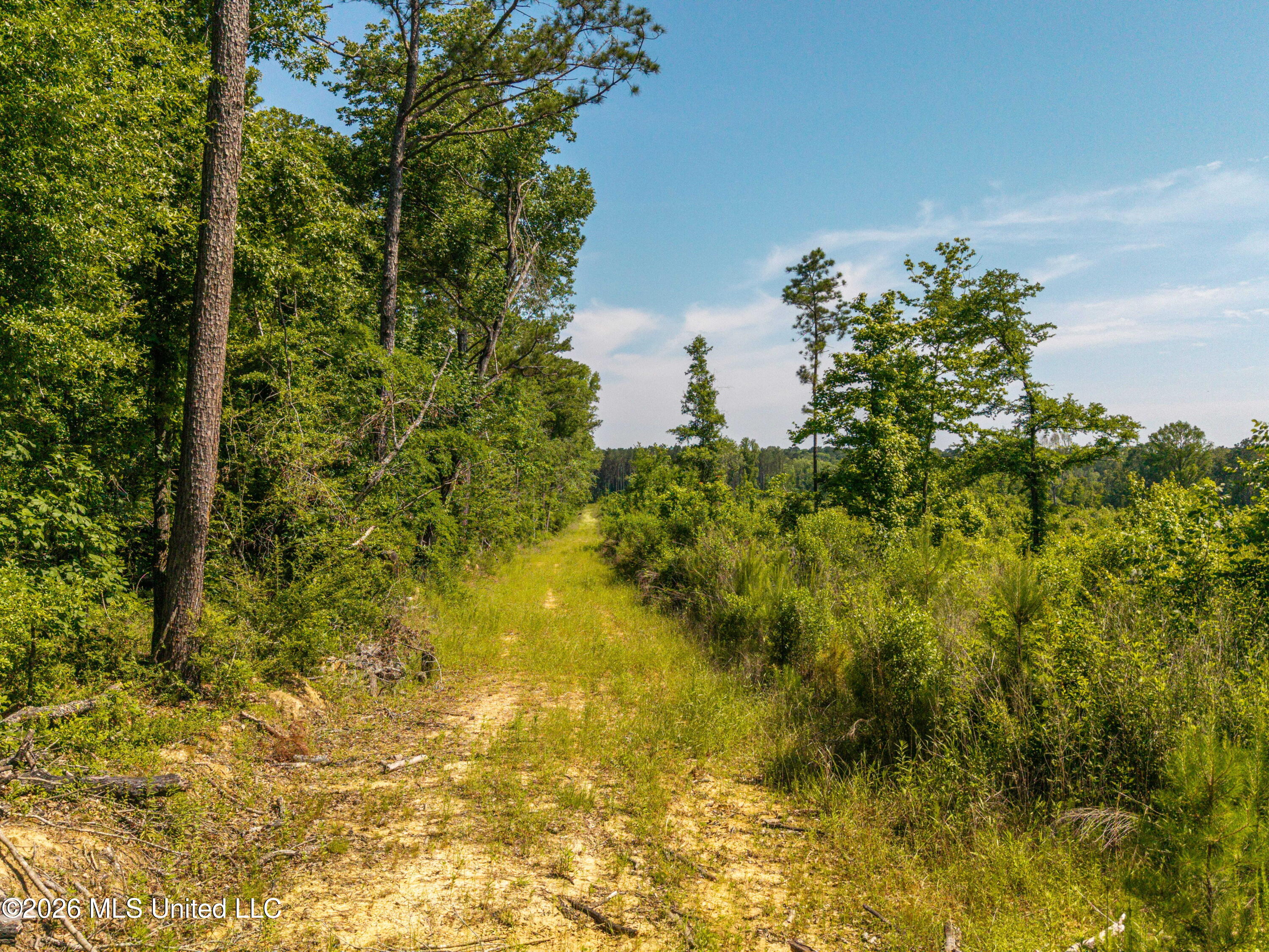 0 East Doc Clark Road Morton, MS 39117 - Photo 7 of 18 DJI_20260518102637_0289_D (1)