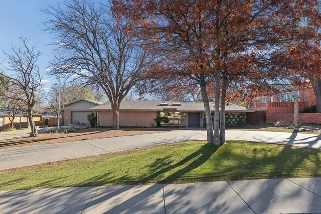 a view of a yard with plants and a large tree