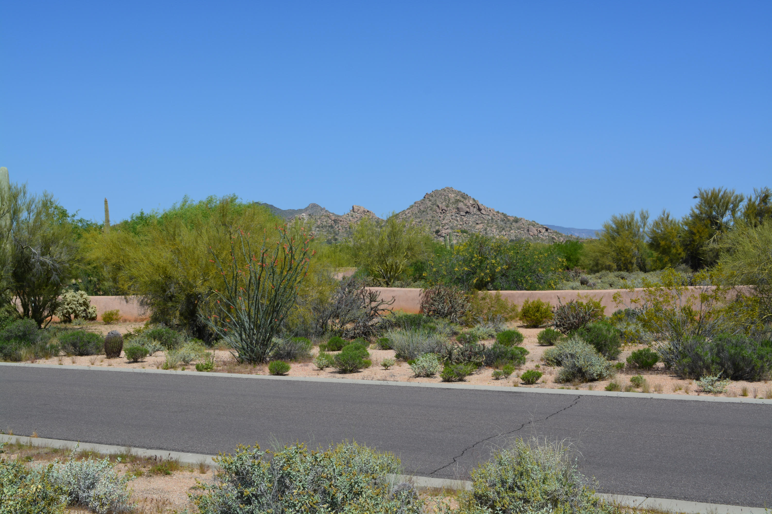 31673 East Ranch Road, Unit 13 Scottsdale, AZ 85266 - Photo 27 of 28 DSC_0035