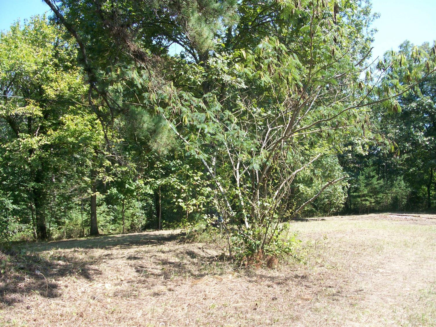 123 Collins Lane Corbin, KY 40701 - Photo 7 of 16 Listing Photo