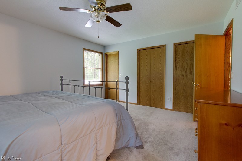 4675 Richman Road Litchfield, OH 44253 - Photo 12 of 30 Large master bedroom with walk-in closet and ceiling fan and new carpeting.