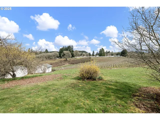 a view of a wooden building