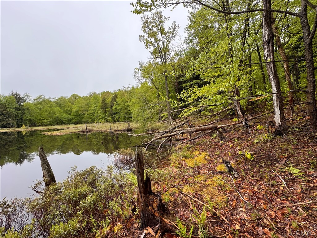 0 Hawkinsville Road Woodgate, NY 13494 - Photo 21 of 27
