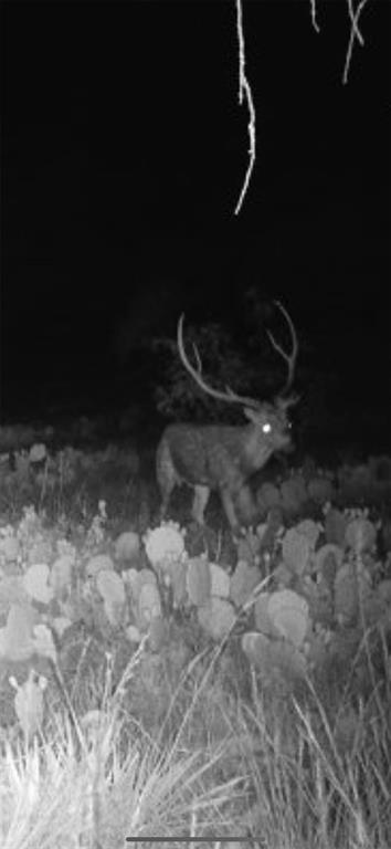 a close view of water heater in a yard