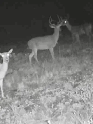a close view of a light in a bathroom