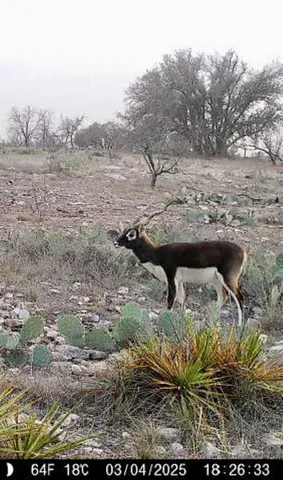 a view of a backyard of the house