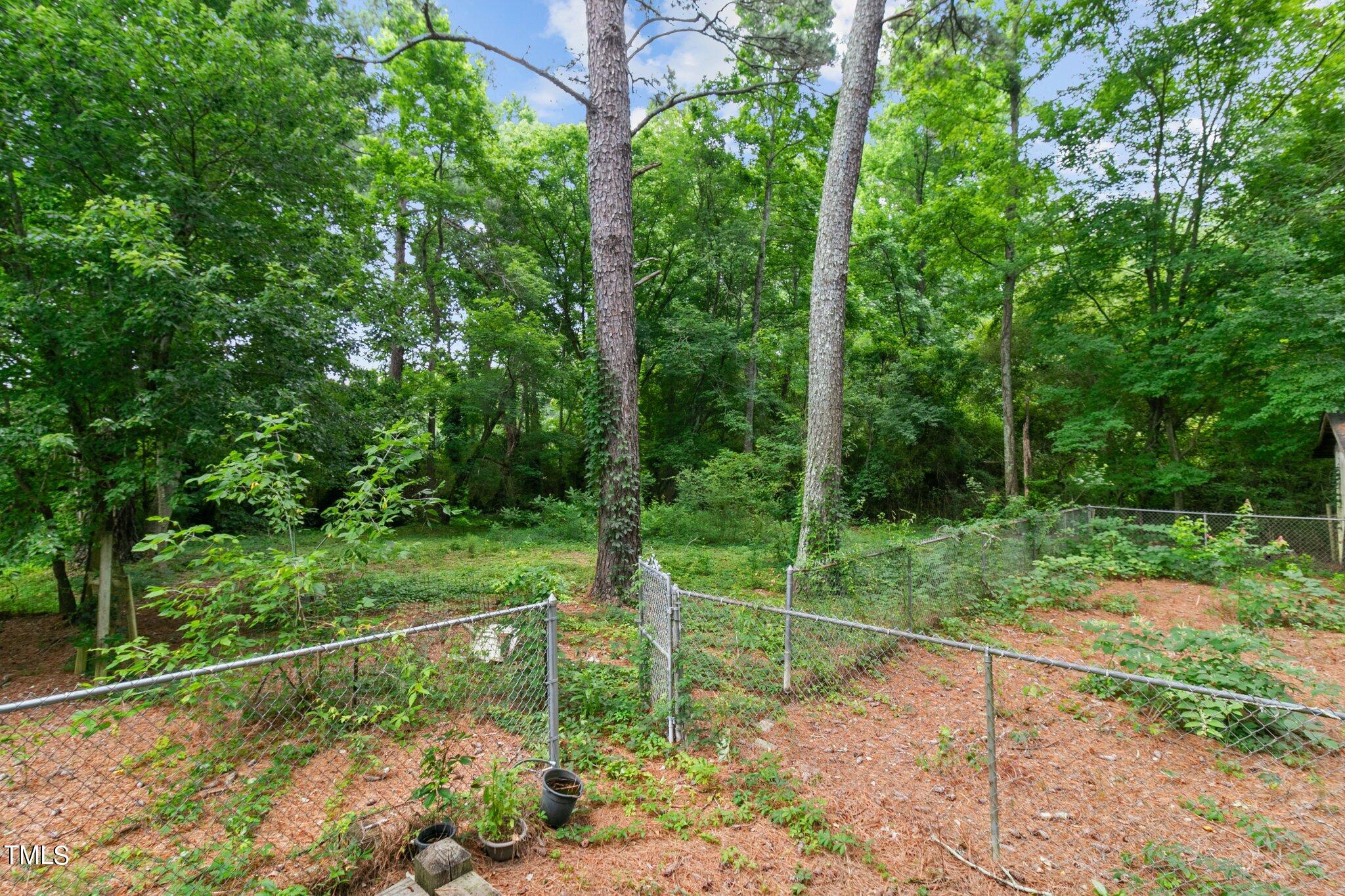 4998 Stewart Road Wade, NC 28395 - Photo 35 of 38 Back yard