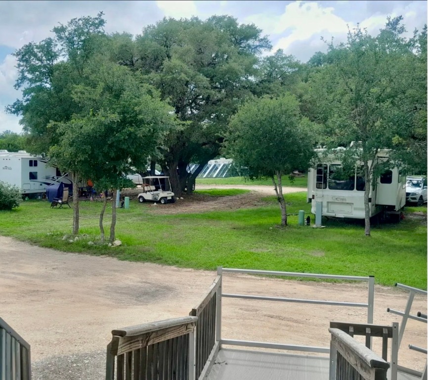 a view of a park with large trees