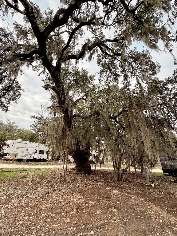 270 Hidden Path Lockhart, TX 78644 - Photo 13 of 27 a view of road with trees