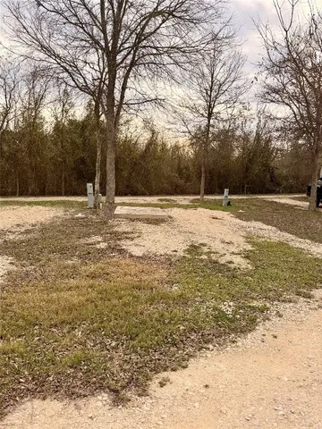 a view of a yard with a tree
