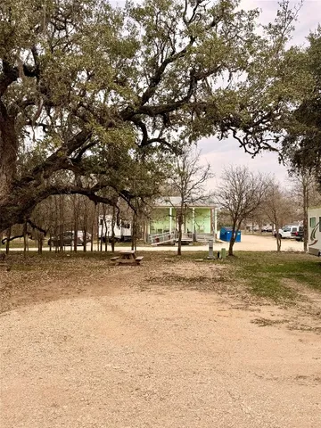 a view of a yard with a tree