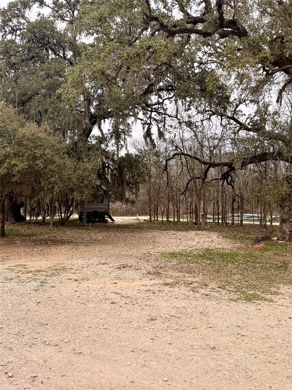 270 Hidden Path Lockhart, TX 78644 - Photo 10 of 27 a view of a yard with a tree