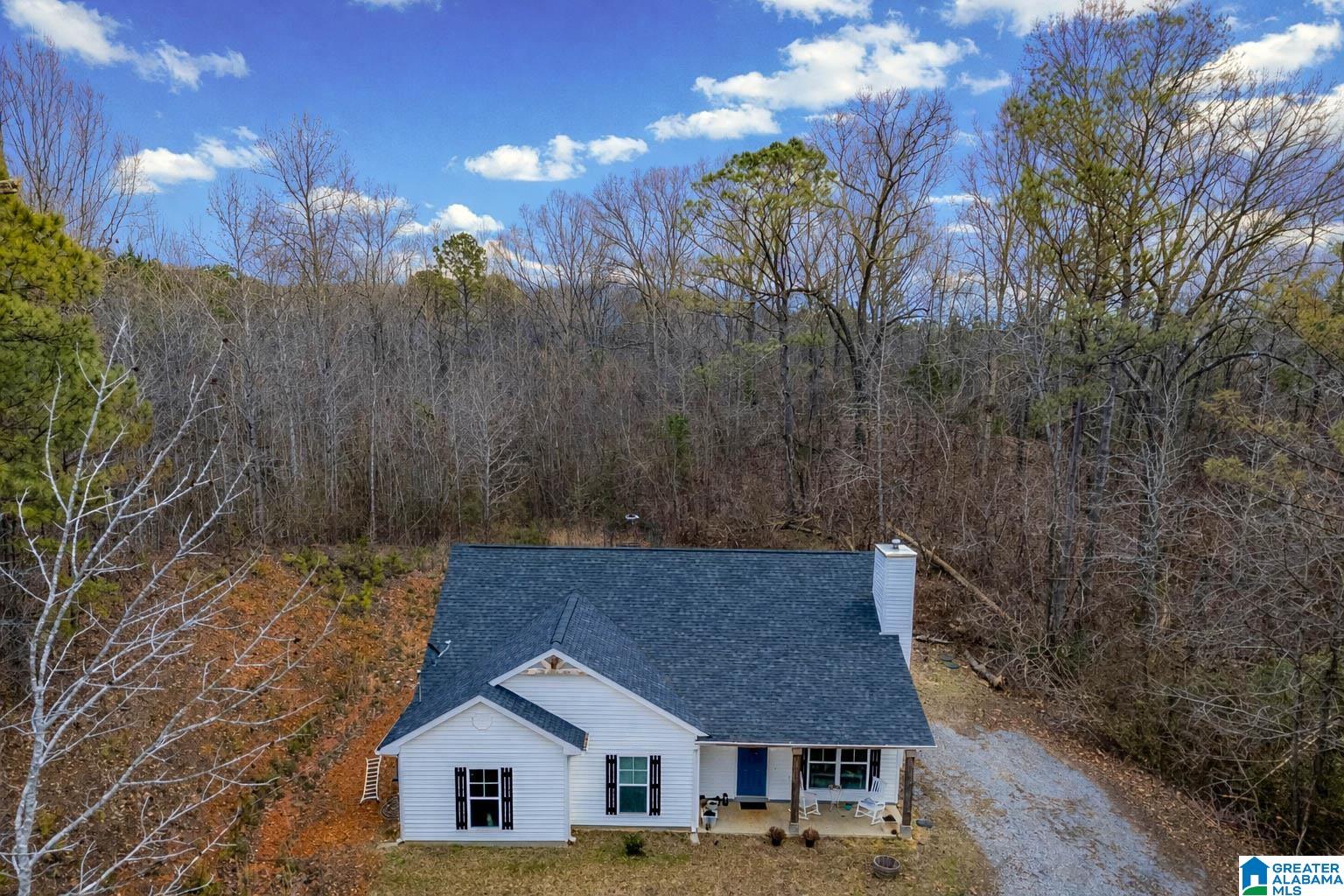 10940 Mudd Street Ohatchee, AL 36271 - Photo 32 of 37