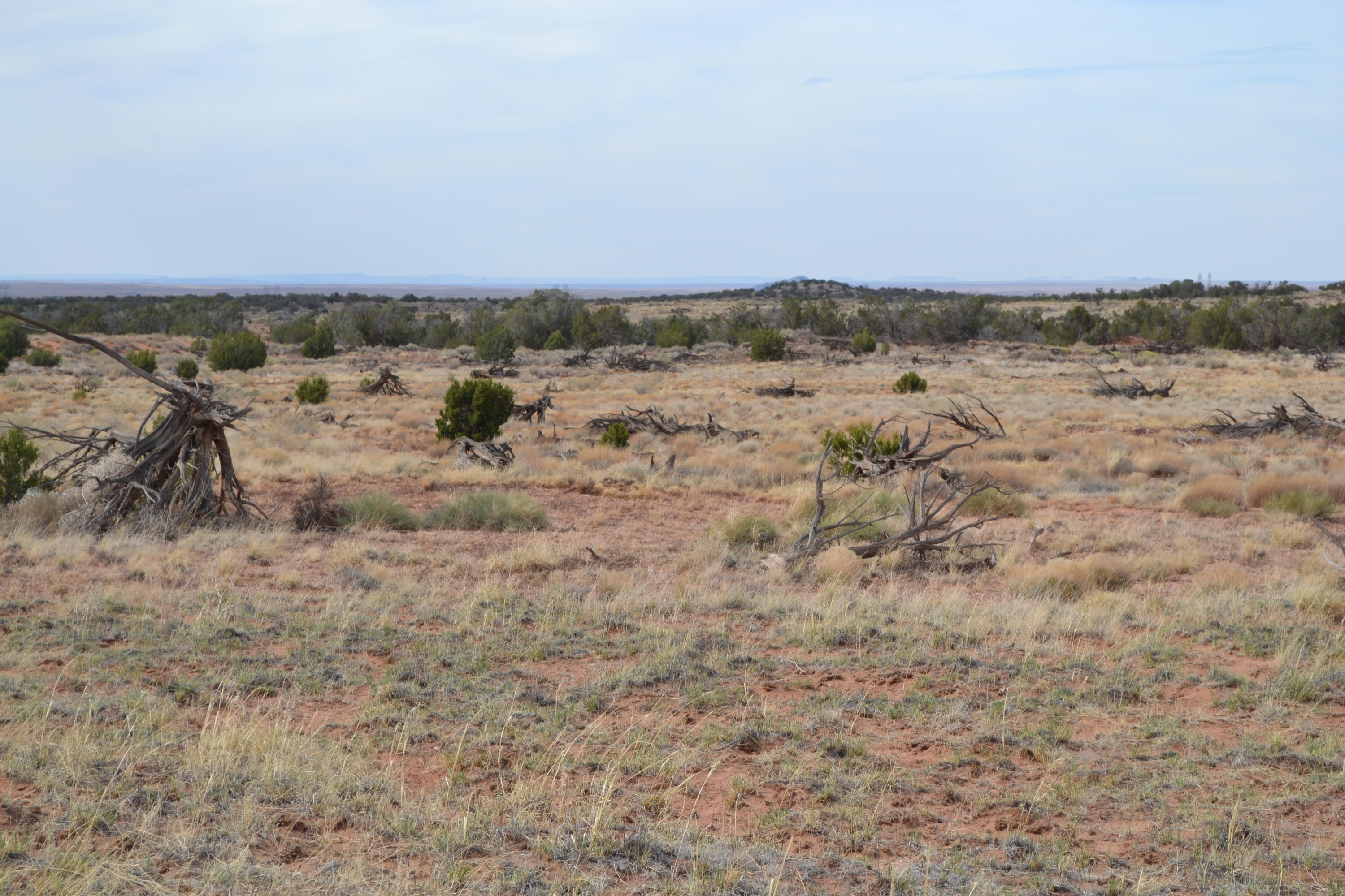 8190 Rockin R Ranch Trail Snowflake, AZ 85937 - Photo 2 of 10 Gallery Image 2